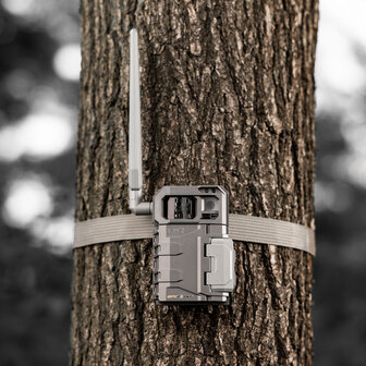 SPYPOINT LM2 Trail Camera Twin Pack