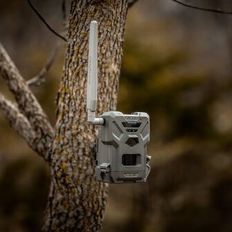 SPYPOINT FLEX-M wild Camera