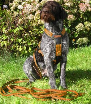 NIGGELOH FOLLOW Zweetwerk harnas voor honden