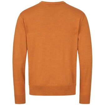 242009-021/325 Blaser Merino V-neck trui rust 