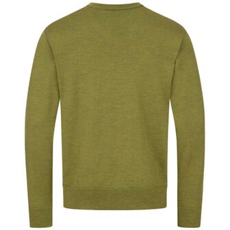 Blaser Merino V-neck trui vivid green