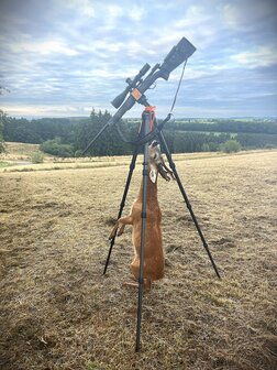 Terrier-Tripods Hunter u
