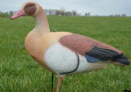 Nijlgans full body ultralight series 