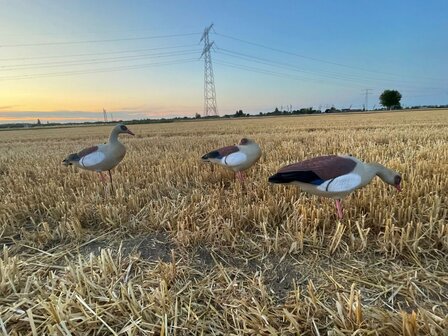 Nijlgans full body ultralight series 