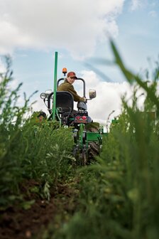 102500088 harkila kamko dark olive / arab spice