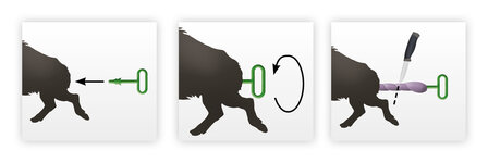 EUROHUNT  Butt-Off Waidlochausl&ouml;ser &ndash; Hygi&euml;nische ontweidgereedschap voor grofwild