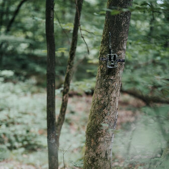 Hunter 4G Mini &ndash; Compacte wildcamera met AI-herkenning en laagste gebruikskosten
