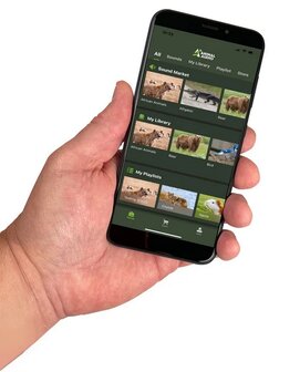 ICOtec Night Stalker+ Bluetooth