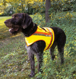 veiligheidsvest voor honden