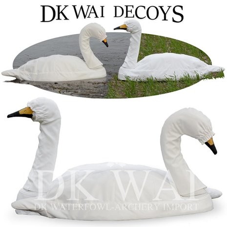 DK WAI Zwanen cover lokkers