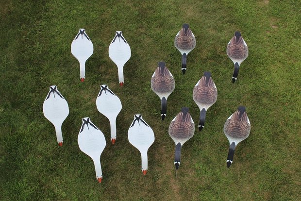 Top down decoys grauwe / sneeuwgans 