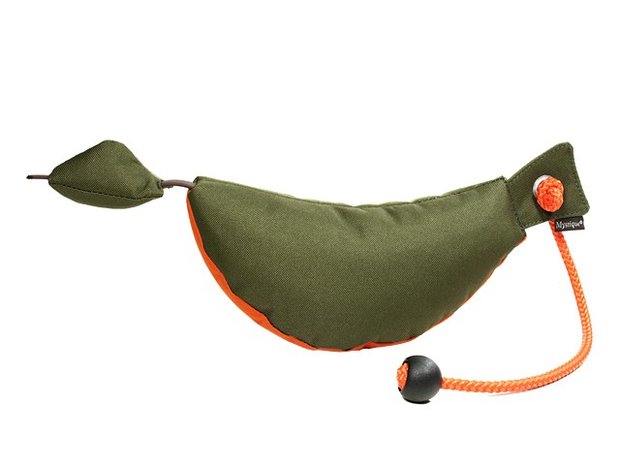 Mystique bird dog dummy 