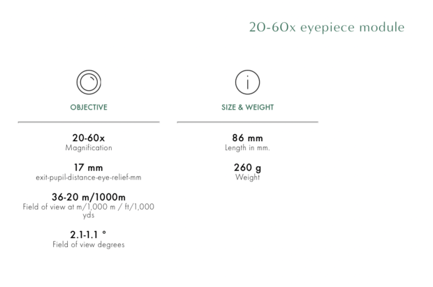 Swarovski Optik 20-60x Oculair