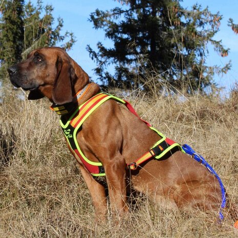 NIGGELOH FOLLOW TRAIL Zweetwerk harnas voor honden