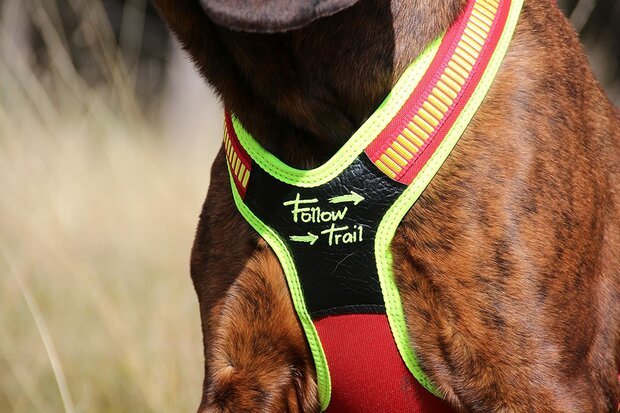 NIGGELOH FOLLOW TRAIL Zweetwerk harnas voor honden