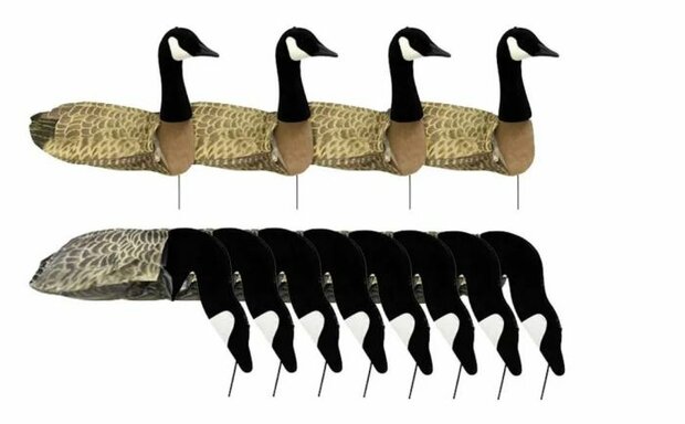 Canadese Goose Harvester, 12-pack