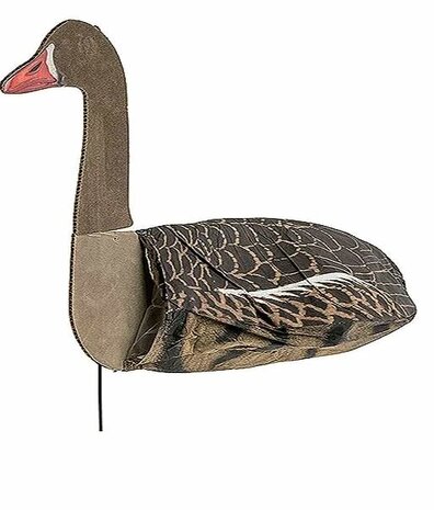 Sillosocks Pink Foot/Grey Lag Goose Head Up  grauwe gans kijkend 