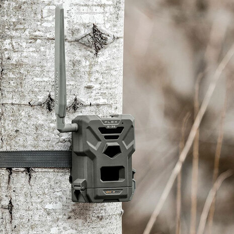 SPYPOINT Flex E-36 trail camera