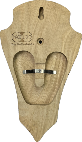 BUDGET Trofeeplank eiken bruin maat 22x13x1,8cm incl. dubbele kaakuitsparing punt 5stuks