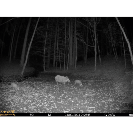 SEISSIGER Mini-Cam