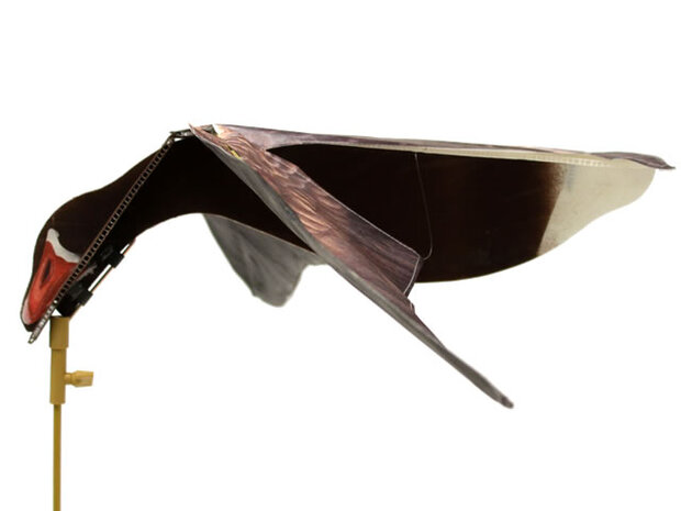 Sillosocks Hypa-Flap Grauwe Gans – Realistische Lokkers voor Jacht