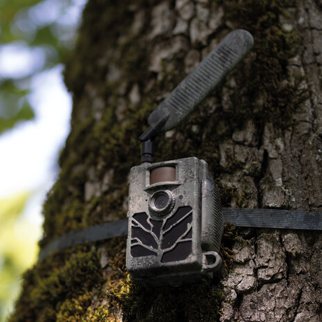 ZEISS Secacam 4G Antenna  Optimale ontvangst voor uw wildcamera
