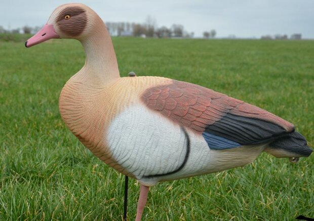 Nijlgans full body ultralight series 