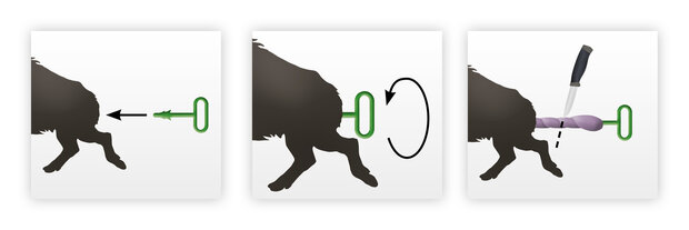 EUROHUNT  Butt-Off Waidlochauslöser – Hygiënische ontweidgereedschap voor grofwild