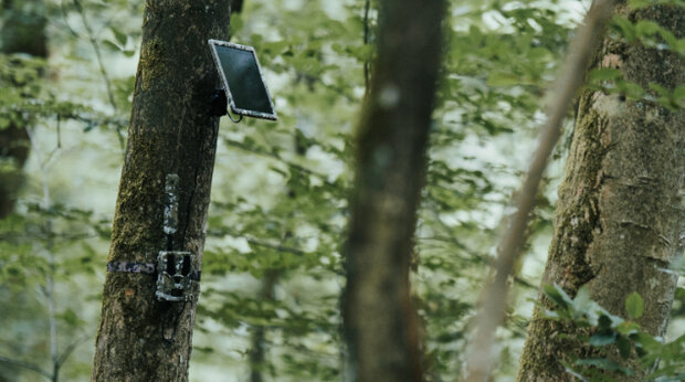 Hunter 4G Mini – Compacte wildcamera met AI-herkenning en laagste gebruikskosten