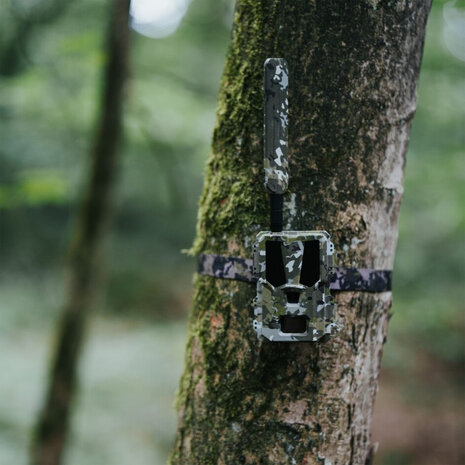 Hunter 4G Mini – Compacte wildcamera met AI-herkenning en laagste gebruikskosten