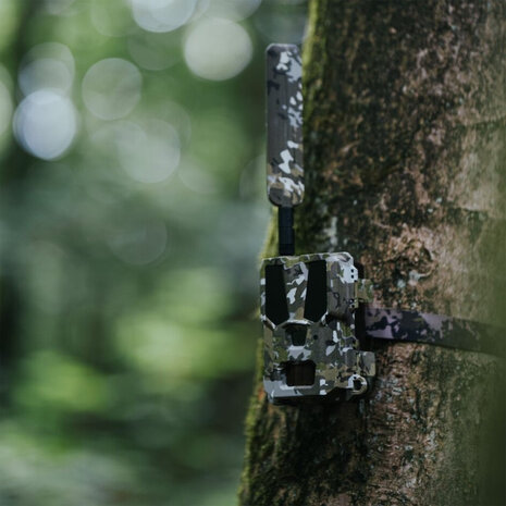 Hunter 4G Mini – Compacte wildcamera met AI-herkenning en laagste gebruikskosten