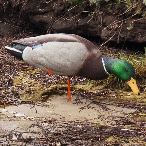 Avian-X AXP Full Body Mallard Fusion Pack Lokeenden
