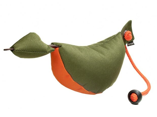 Mystique bird dog dummy