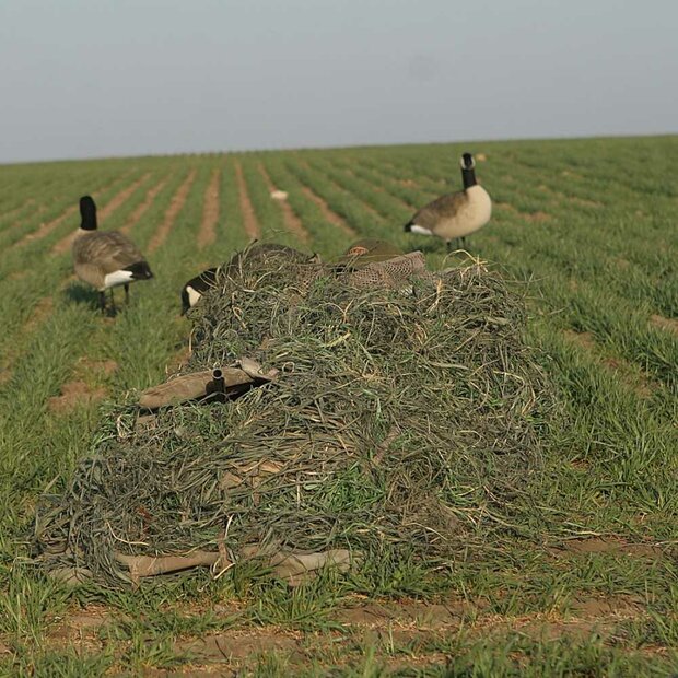 Avery KillerWeed Winter Gras, 