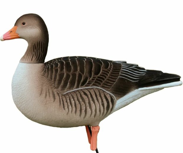 DKwai Grauwe gans lokker-set 6 stuks full body