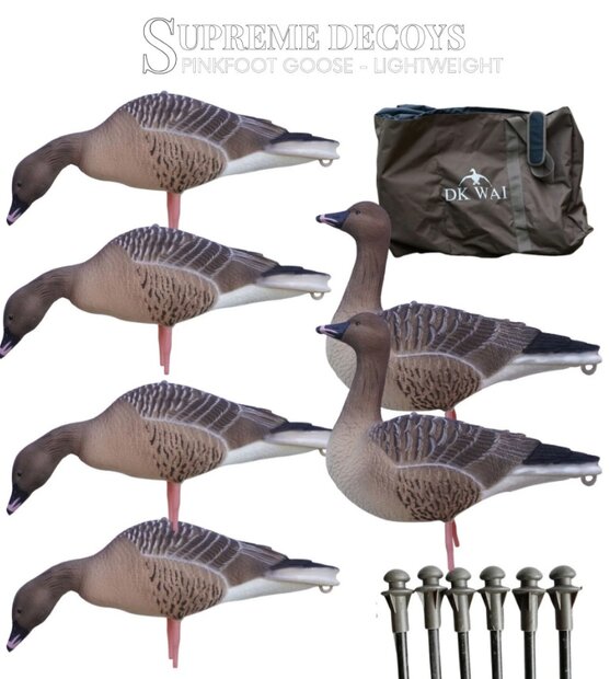 DK WAI Supreme Lightweight - Kolgans