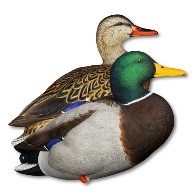 Avian-X AXP Full Body Mallard Fusion Pack Lokeenden