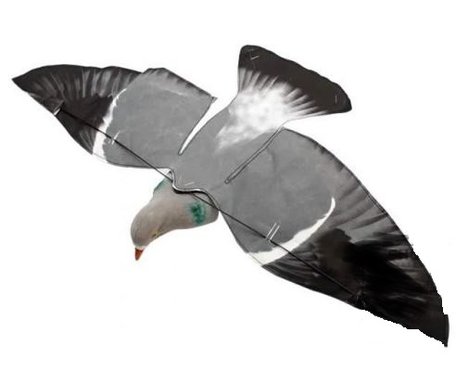 Sillosocks pigeon duif hypaflap bouncer