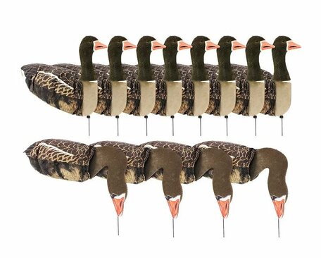 Sillosocks Pink Foot/Grey Lag Goose  grauwe gans Harvester pack 12 stuks