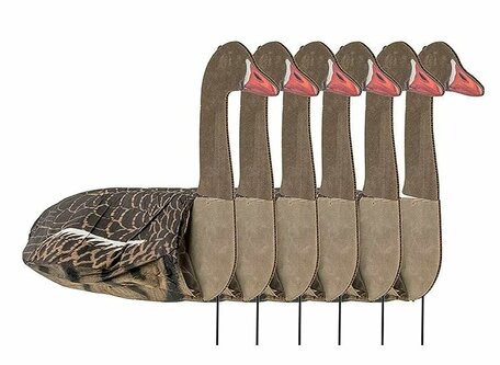 Sillosocks Pink Foot/Grey Lag Goose Head Up  grauwe gans kijkend 