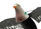 Sillosocks Pigeon Head 3D