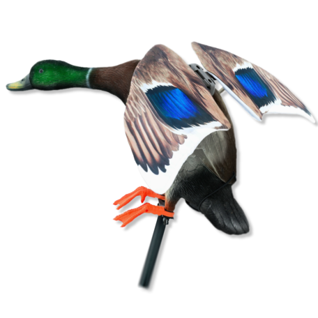Lucky Duck wilde eend flapper