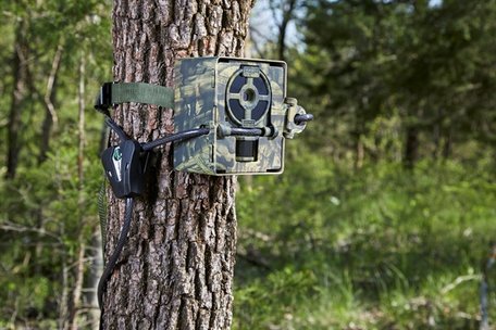 Primos Beschermkast voor wildcamera's