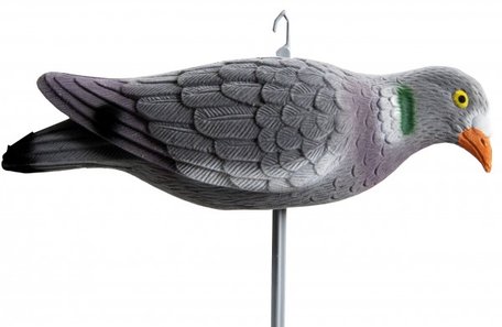 Duif lokker feeding geflockt 33cm